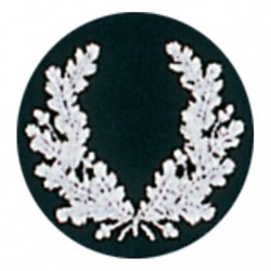 Lehrgangsabzeichen